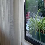 21 * Тирана